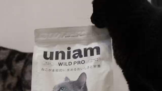 パッケージに顔を寄せるねこ