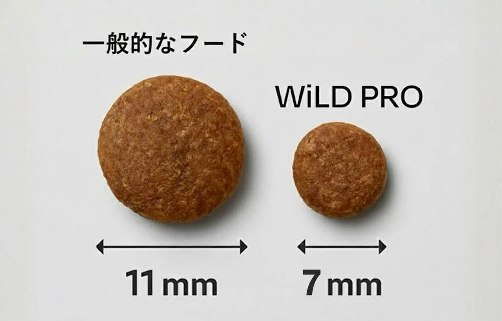 一般的なフード11mmとワイルドプロの粒の大きさ比較